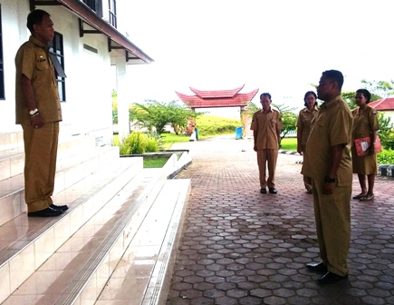 Apel Sore