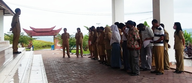 Apel Sore